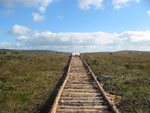 Croaghonagh North Boardwalk