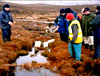 The Coillte Life Blanket Bog project visit Fermanagh District Council, Northern Ireland, to look at their work completed over 10 years ago on a Life Project, February 2006